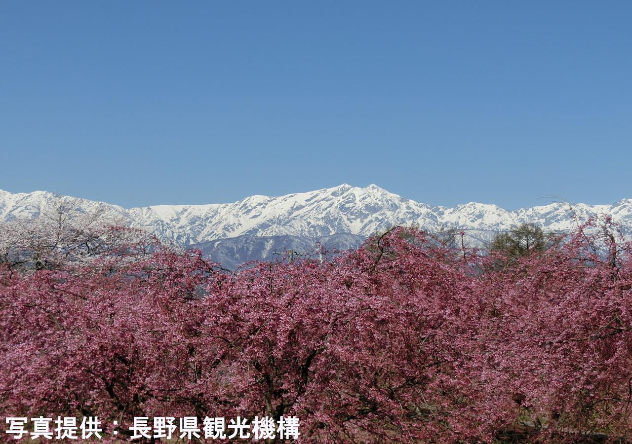 Shioriya Hotell Nagano Eksteriør bilde